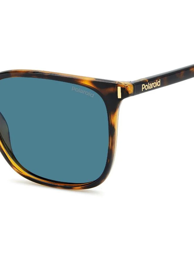 Polaroid Rectangular Sunglasses Frames